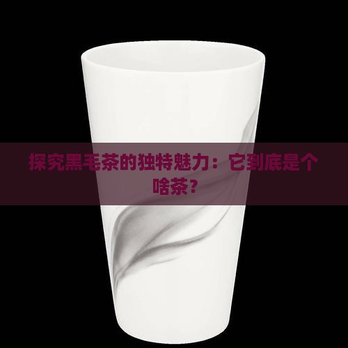黑毛茶属于什么茶类