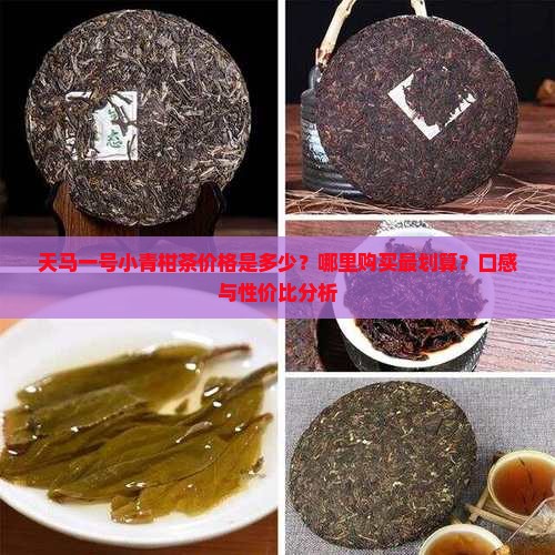 天马一号小青柑茶价格