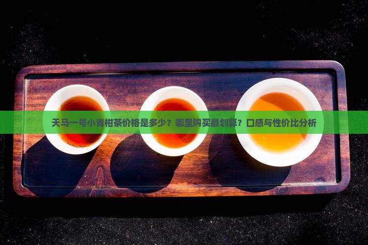 天马一号小青柑茶价格