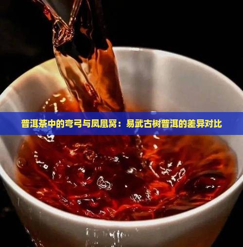 普洱茶弯弓和凤凰窝区别
