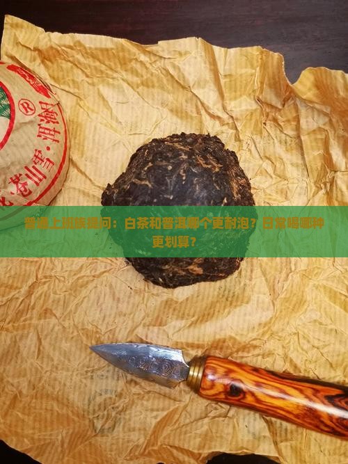 白茶和普洱茶哪个耐泡好