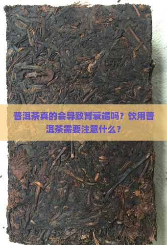 普洱茶三年肾没了