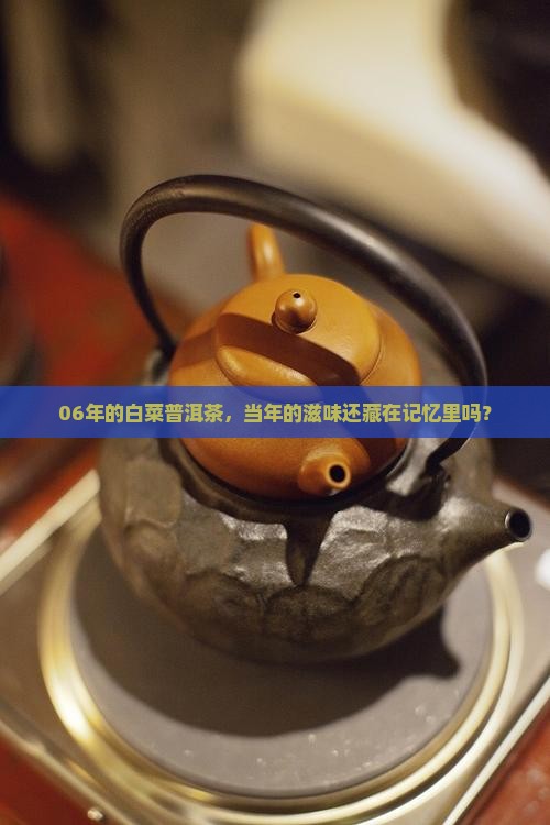06年白菜普洱茶