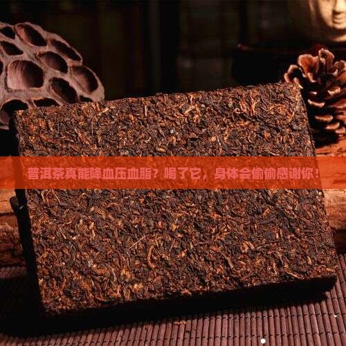 普洱茶为啥可以降血压血脂