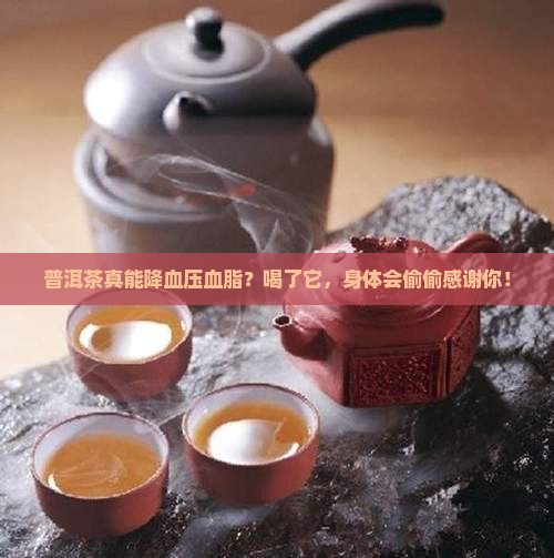 普洱茶为啥可以降血压血脂