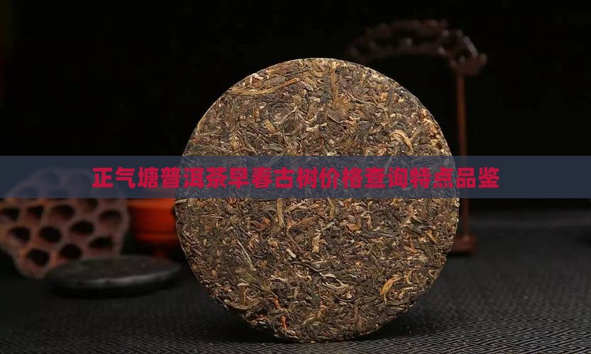 正气塘普洱茶早春古树
