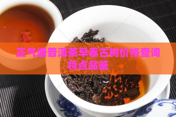 正气塘普洱茶早春古树