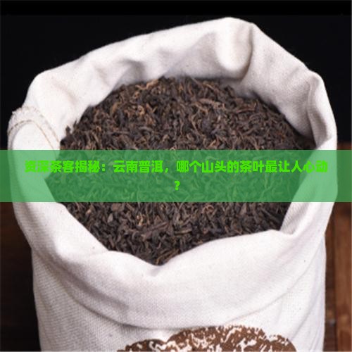 普洱茶产区哪个好