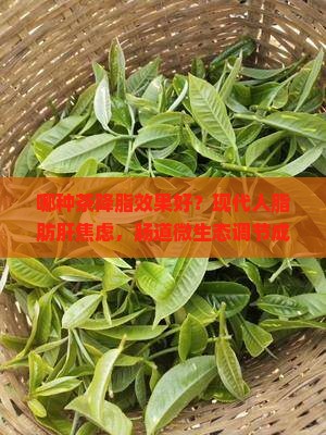 哪种茶降脂效果好