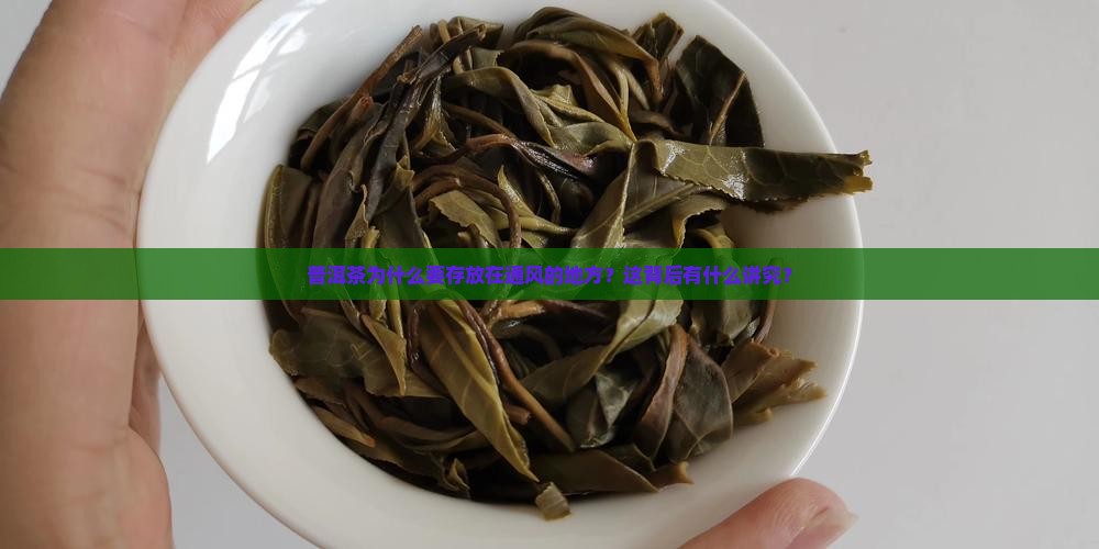 普洱茶存放不通风吗为什么