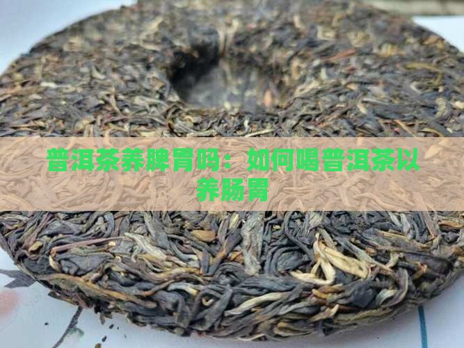 普洱茶养脾胃吗
