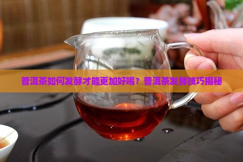 普洱茶怎么发酵得好喝些