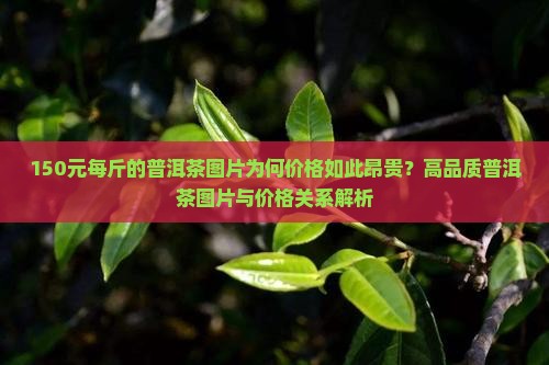 150一斤普洱茶的照片