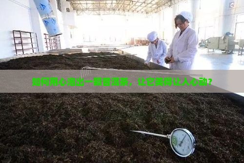 一颗普洱茶怎么泡好看一些
