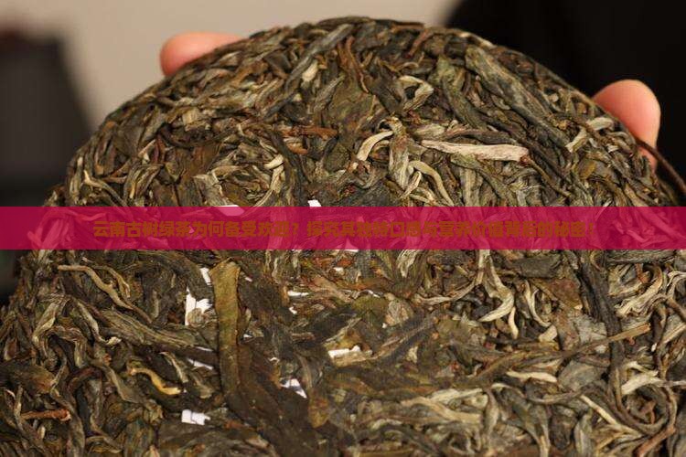 云南古树绿茶口感
