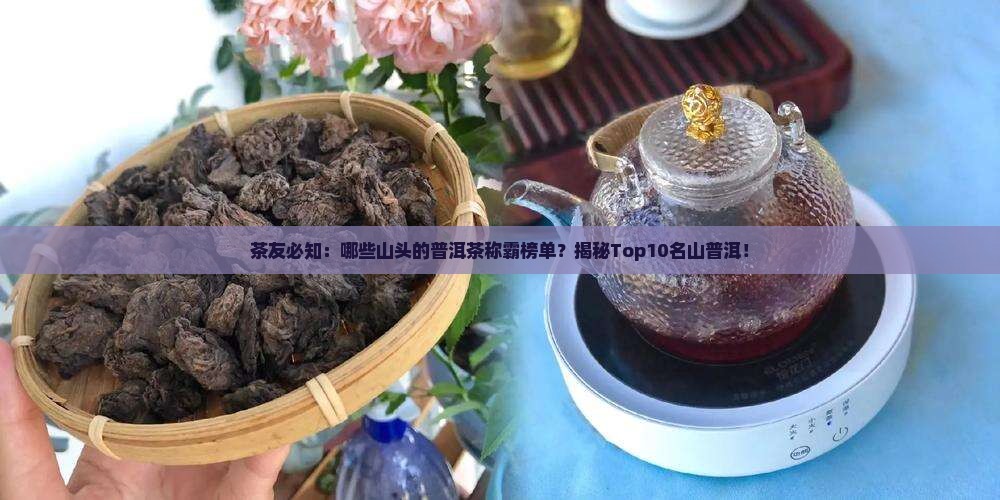 普洱茶的十大名茶山头茶是什么