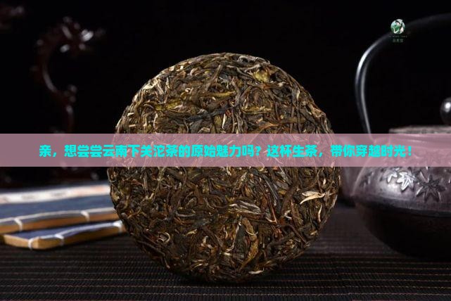 下关沱茶云南普洱茶生茶