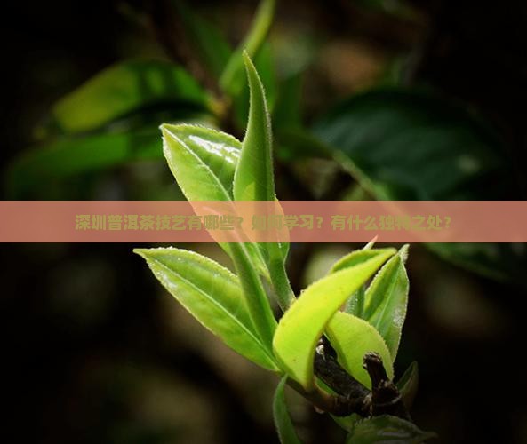 深圳普洱茶技艺 深圳普洱茶技艺