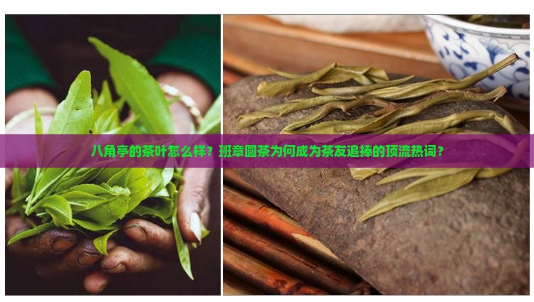 八角亭的茶叶怎么样班章圆茶
