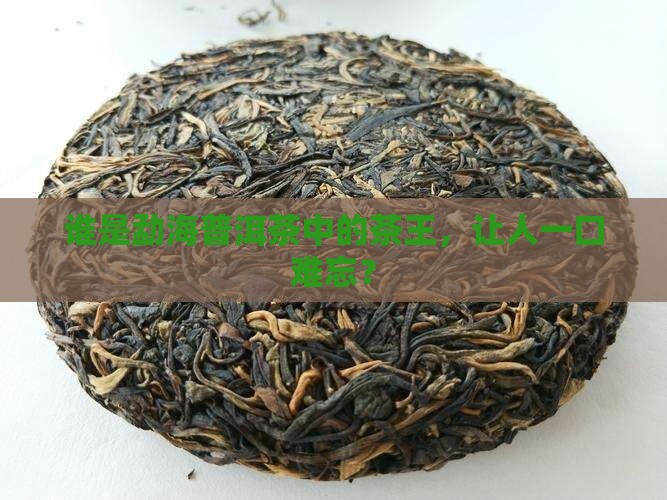 勐海普洱茶谁最有名