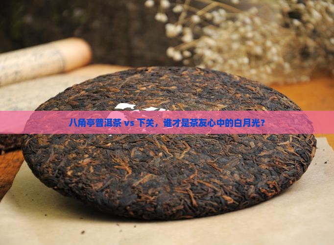 八角亭普洱茶pk下关