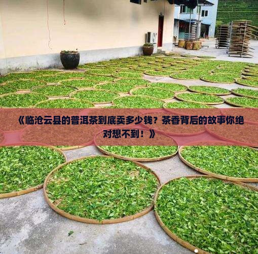 临沧云县普洱茶价格