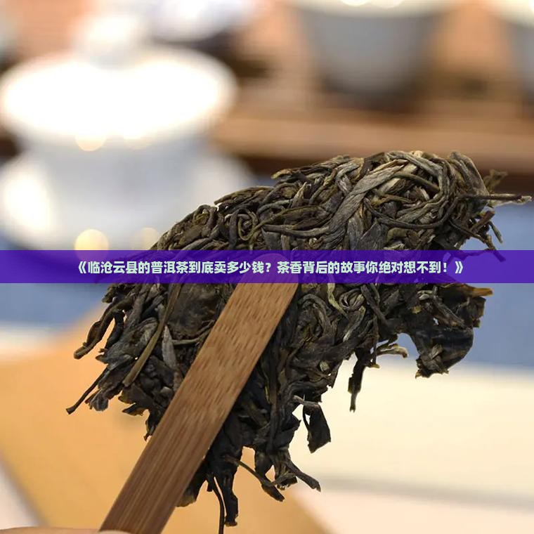 临沧云县普洱茶价格