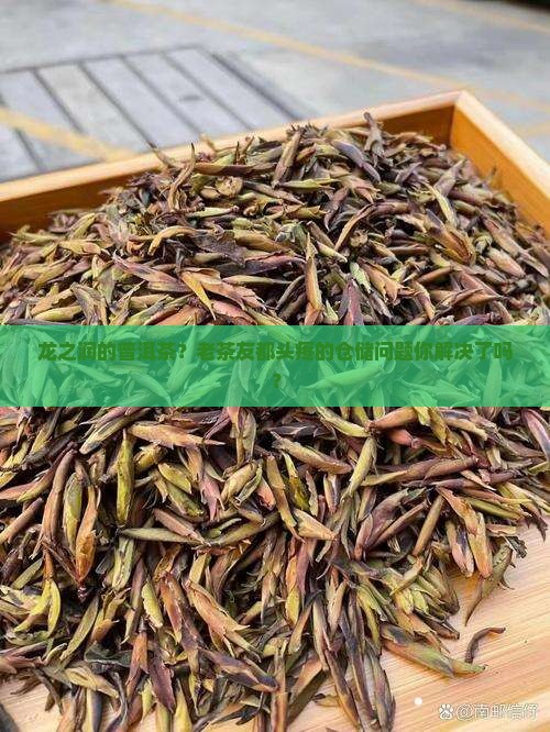 龙之润的普洱茶