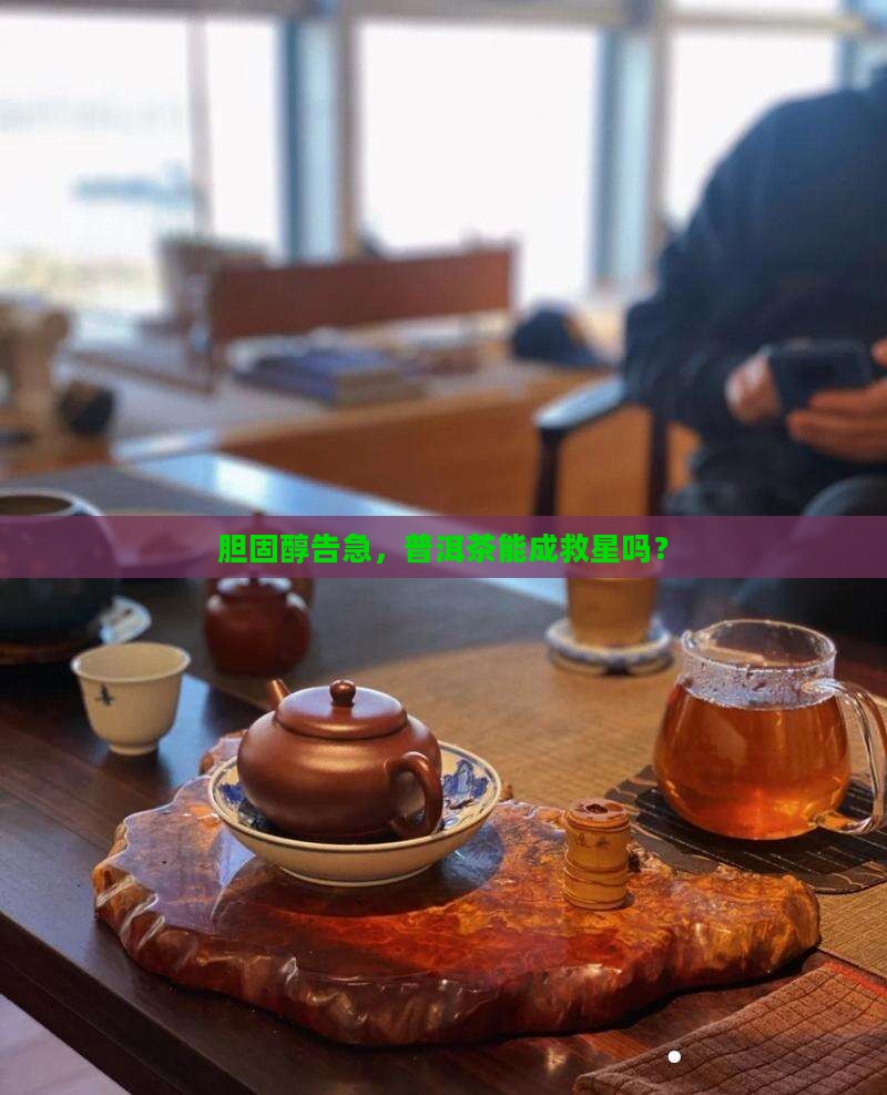 胆固醇高可以喝普洱茶么