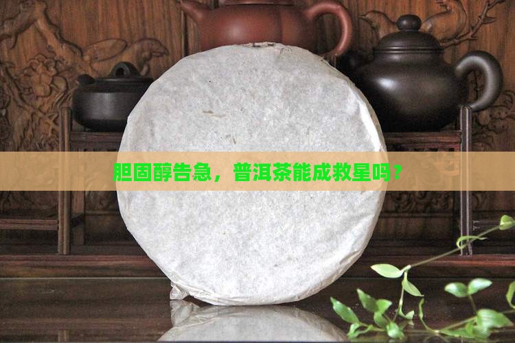 胆固醇高可以喝普洱茶么