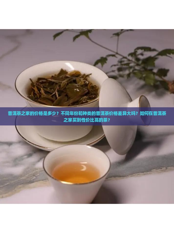 普洱茶之家价格