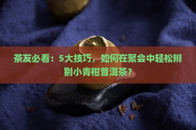 小青柑普洱茶的辨别