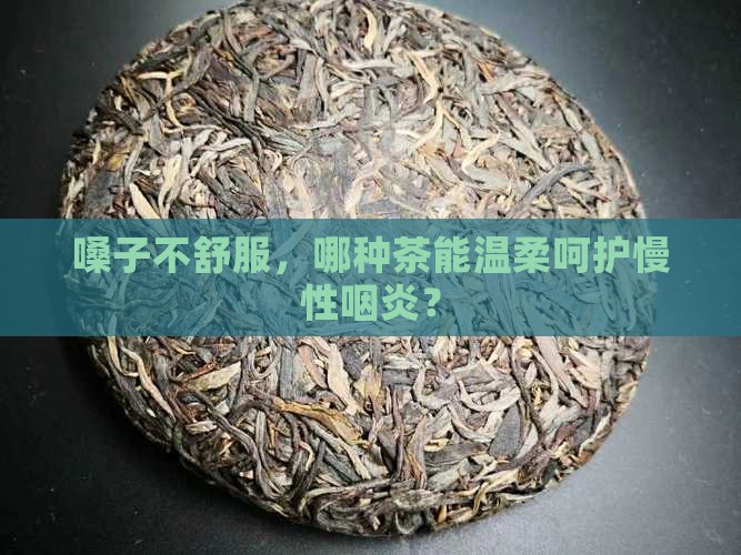 慢性咽炎喝什么茶有利