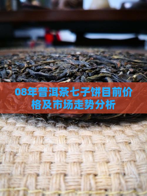 08年普洱茶七子饼目前价格