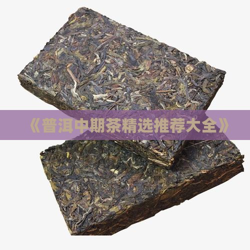 普洱茶中期茶大全