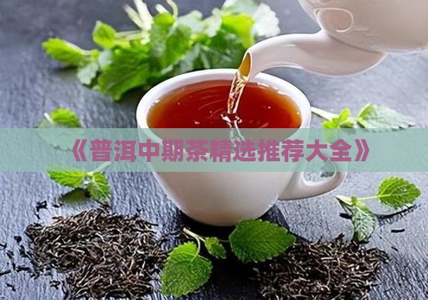 普洱茶中期茶大全