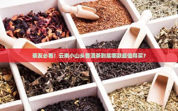 云南小山头普洱茶
