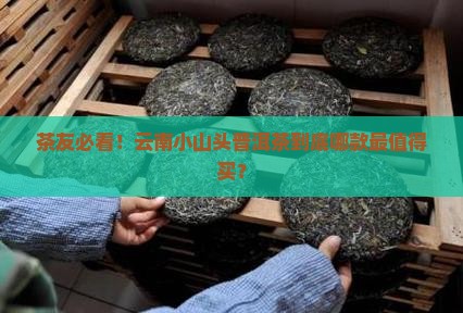 云南小山头普洱茶