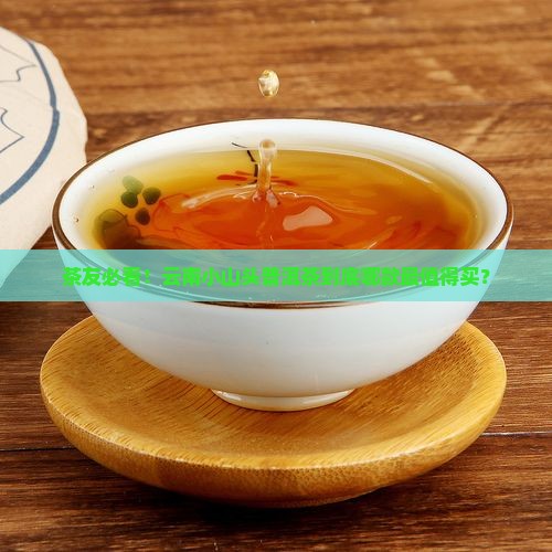 云南小山头普洱茶