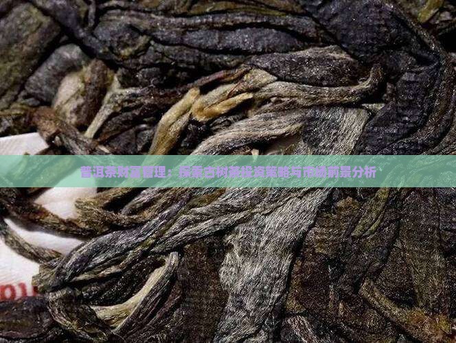 普洱茶财富管理