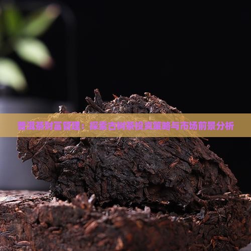 普洱茶财富管理