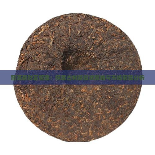 普洱茶财富管理