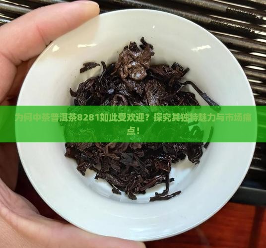 中茶普洱茶8281