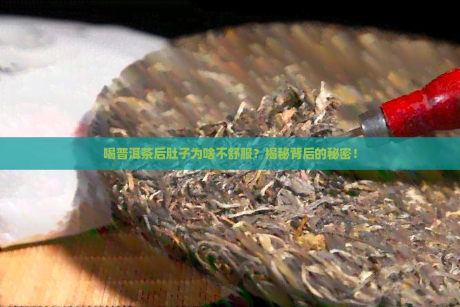 普洱茶喝完肚子疼