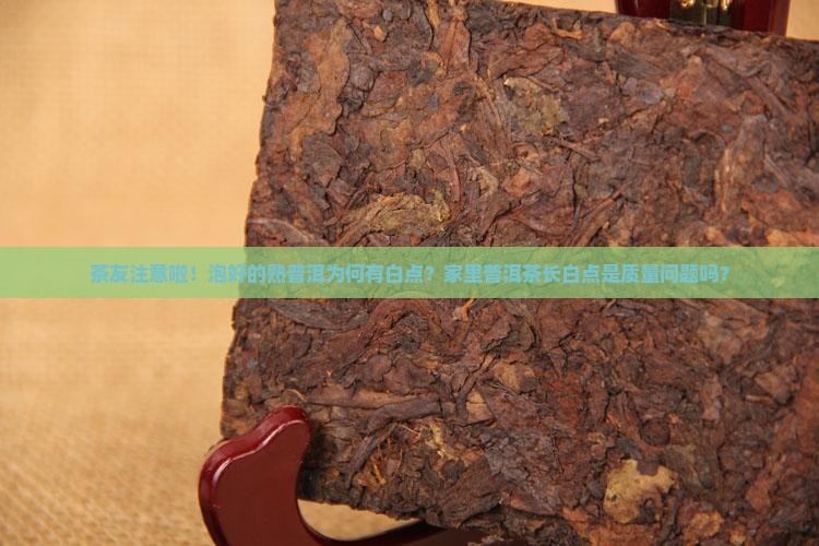 熟普洱茶上面的白点是什么