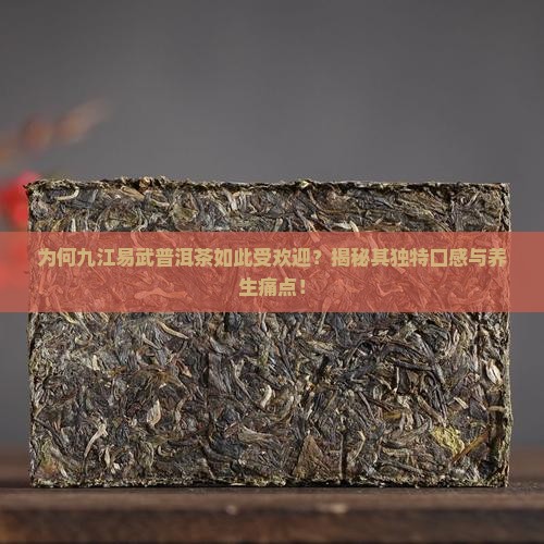 九江易武普洱茶