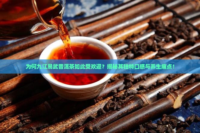 九江易武普洱茶