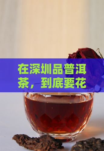 深圳熟普洱茶费用