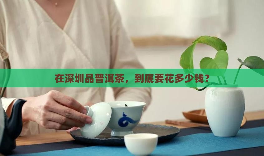 深圳熟普洱茶费用