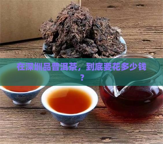 深圳熟普洱茶费用